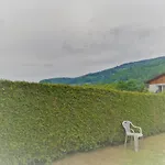 Le Petit Loft Vosgien