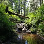 Le Petit Loft Vosgien Apartment *