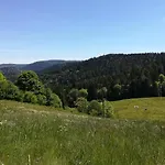 Apartment Le Petit Loft Vosgien Cornimont