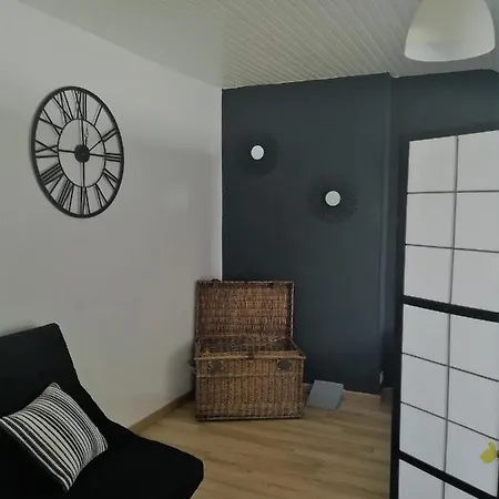 Le Petit Loft Vosgien 公寓 *