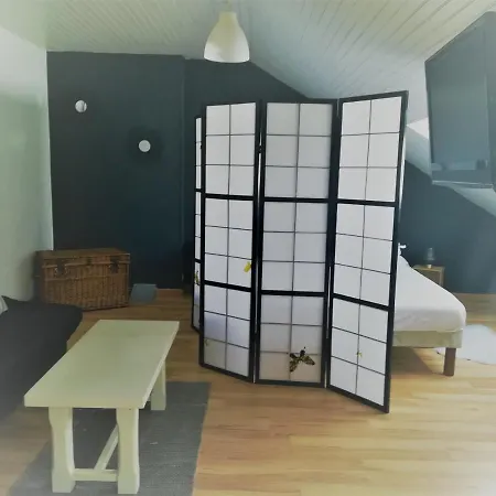 Le Petit Loft Vosgien 公寓 *