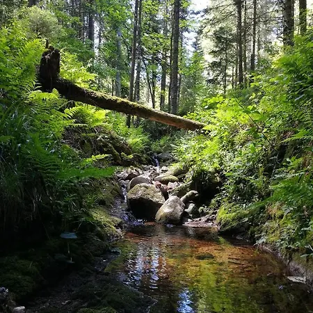 Le Petit Loft Vosgien 公寓 *