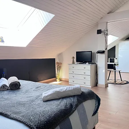 Le Petit Loft Vosgien 아파트