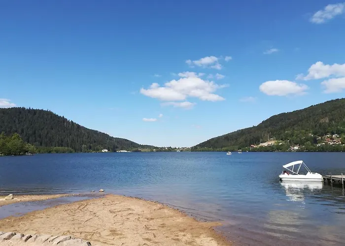 Le Petit Loft Vosgien 아파트 *