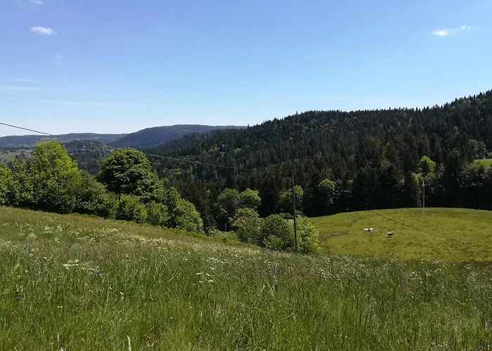 아파트 Le Petit Loft Vosgien 코르니몽