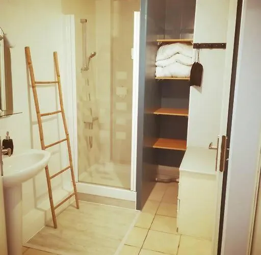 Apartament Le Petit Loft Vosgien *