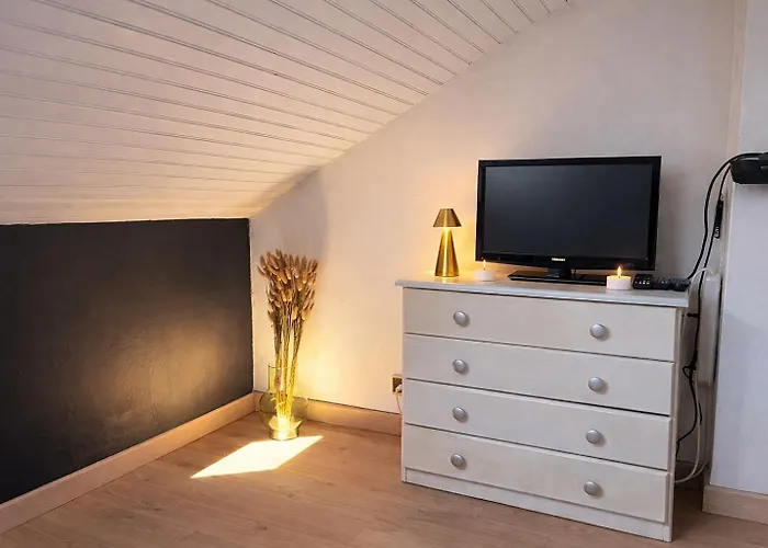 Le Petit Loft Vosgien *